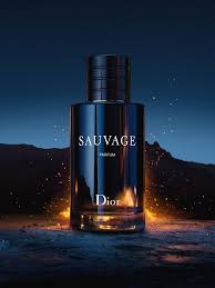 Dior Sauvage Parfum Refillable 100ML